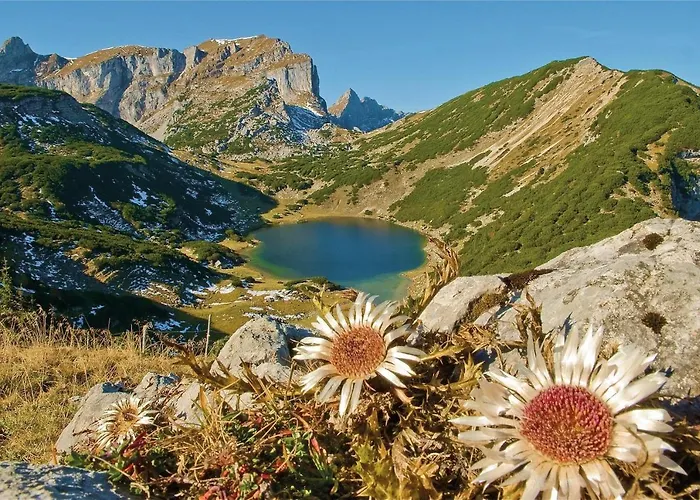 Bergzauber 아파트 *